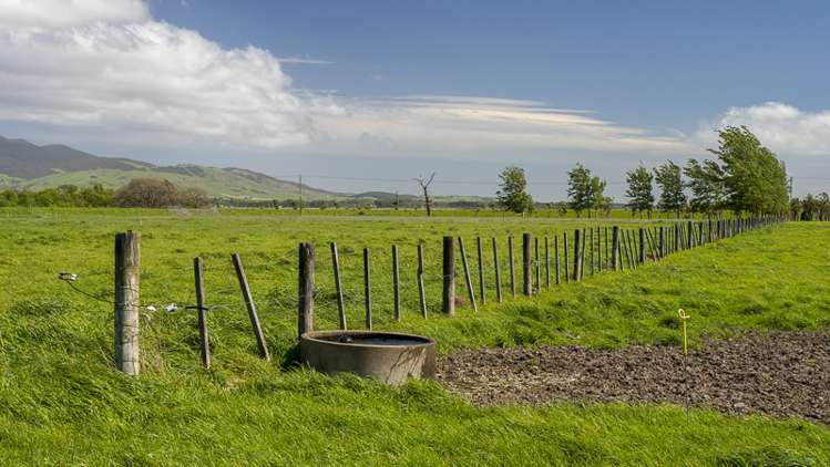 178 Pahautea Road Kahutara_16