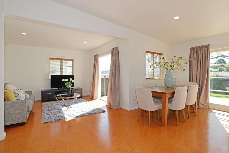 95 Marsden Avenue Mount Eden_4