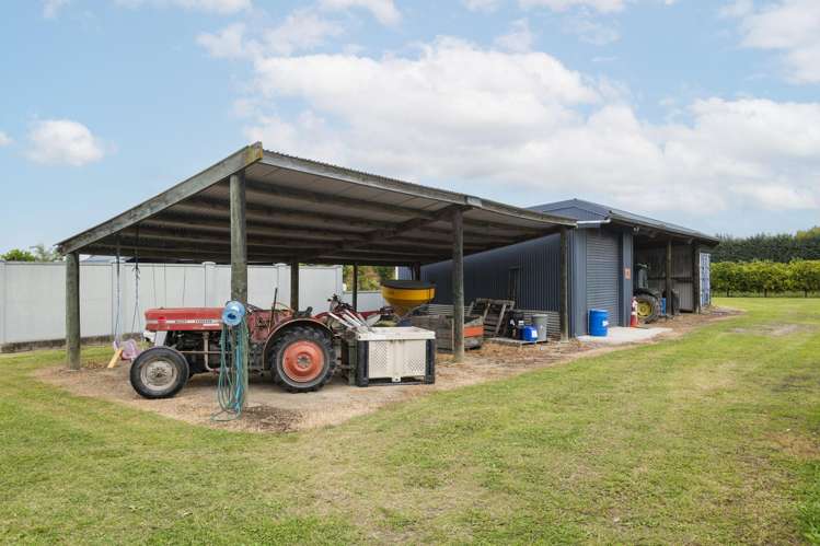 18 Jackson Road Waerengaahika_47