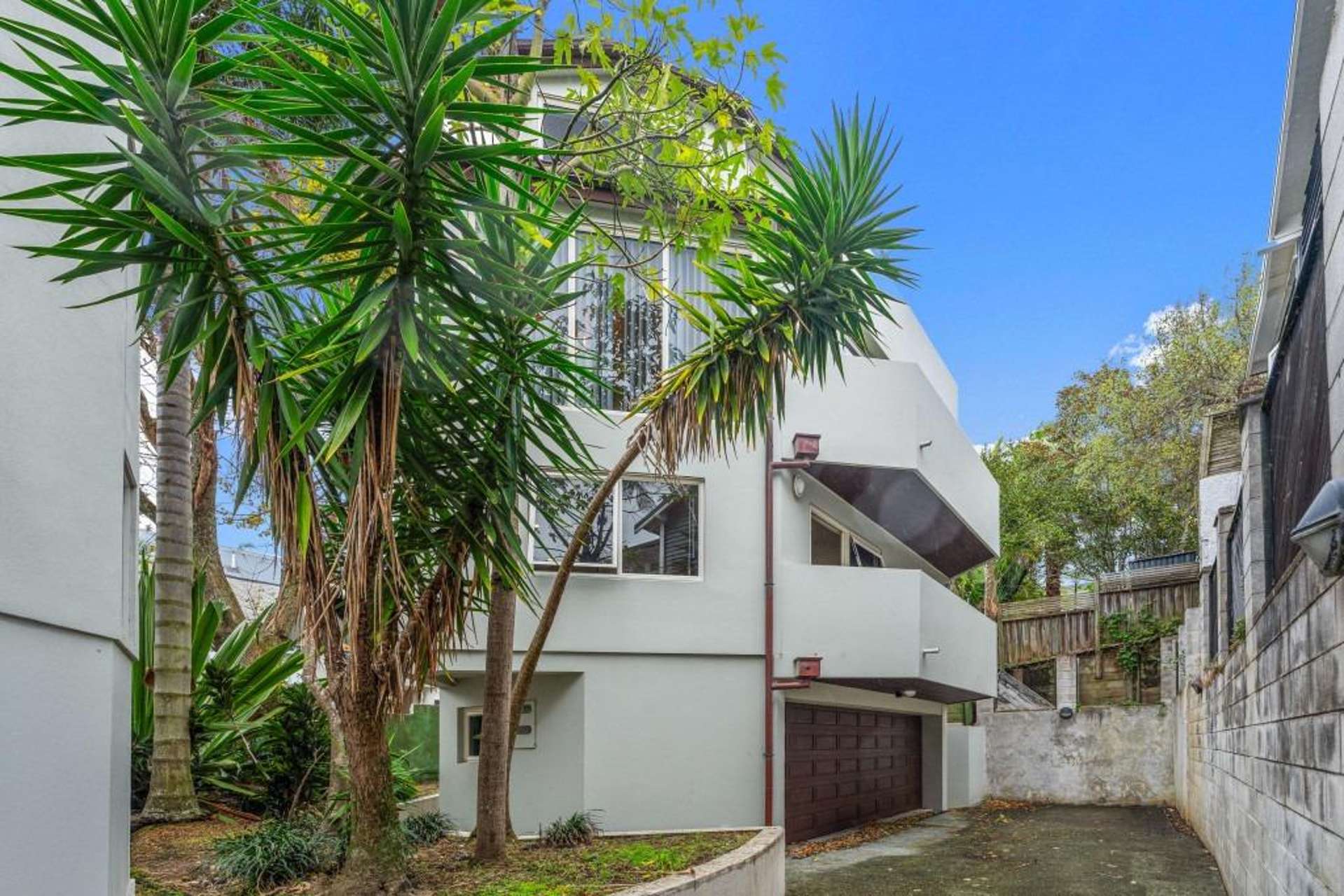 3/8 Sarsfield Street 1685_0