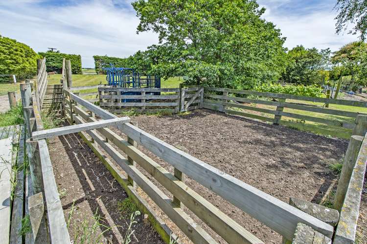 934 Leeston Dunsandel Road Leeston_18