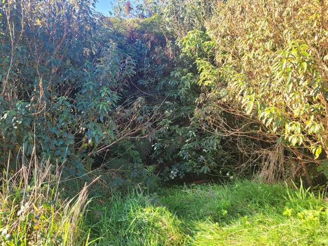 33 Highlander Drive Franz Josef Glacier_2