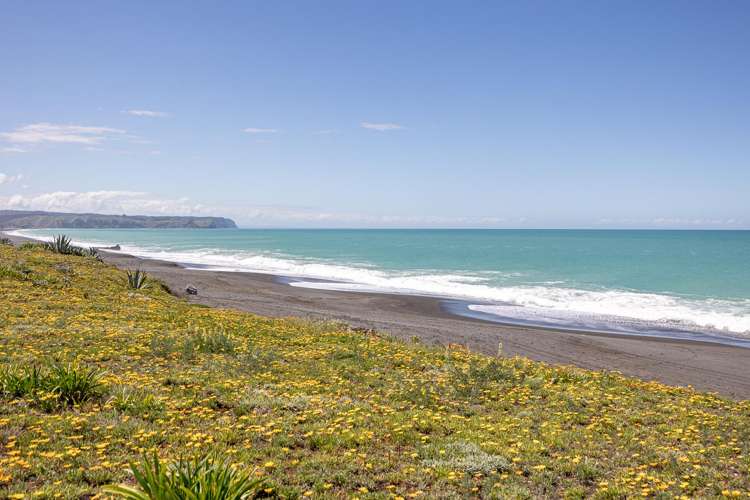 170 Whirinaki Road Bay View_15