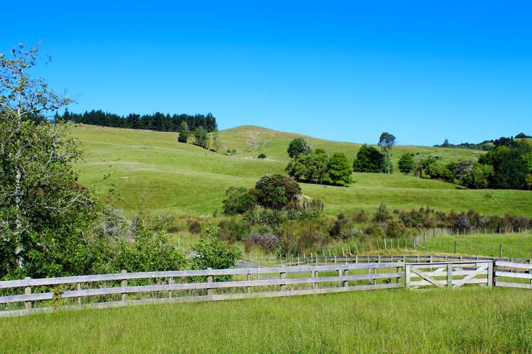 Monowai Road Wainui_11