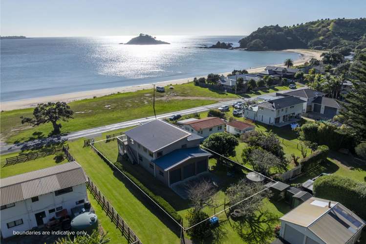 1768 Wainui Road_0
