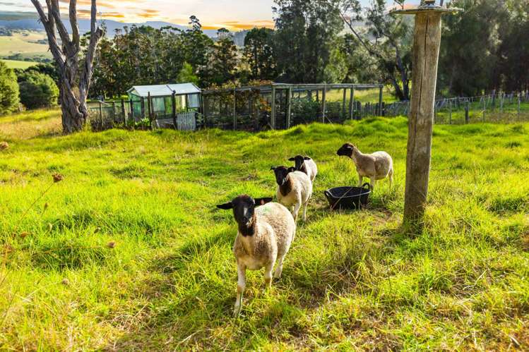 71 Hamilton Road Waimauku_32