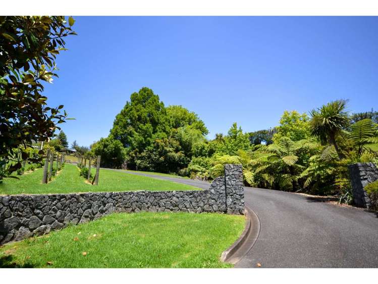 Blue Gum Lane Kerikeri_1
