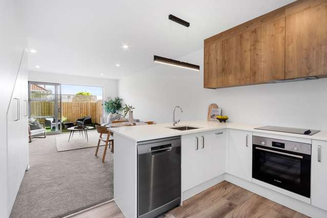 198 Lyttelton Street Spreydon_4