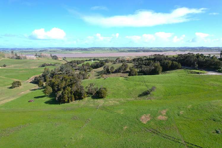 Whakahara Road Dargaville_6