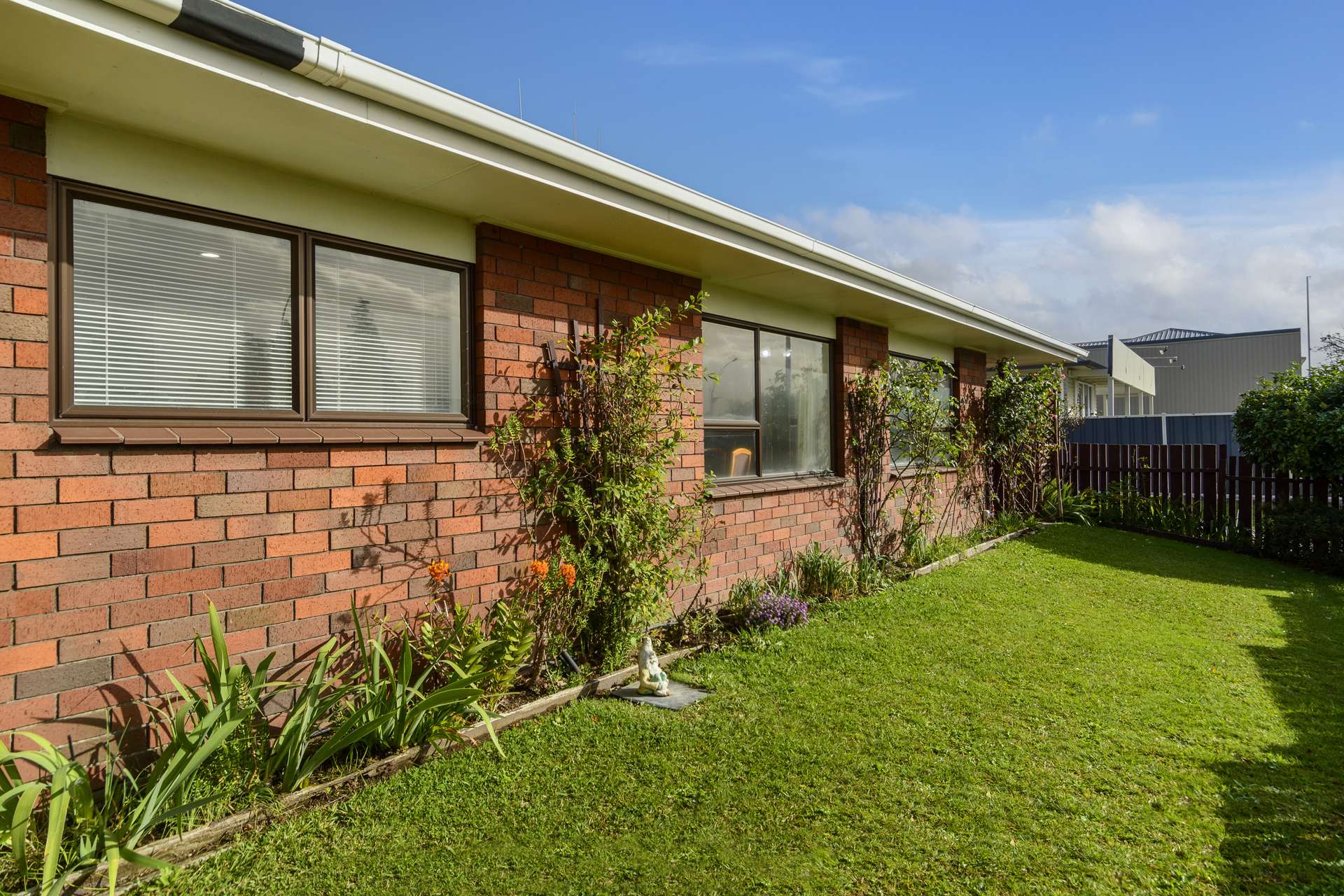 A/15 Jellicoe Street Te Puke_0