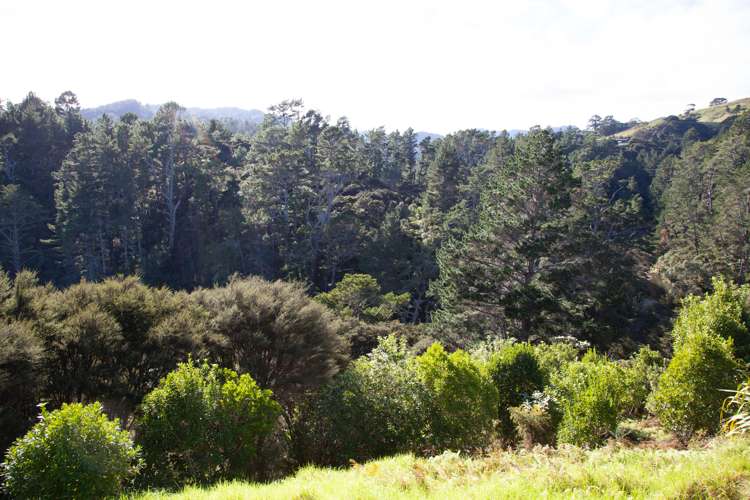 8 Te Mata Drive Te Mata_8