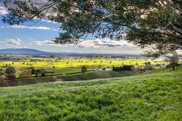 363 Grice Road Rotoorangi_13