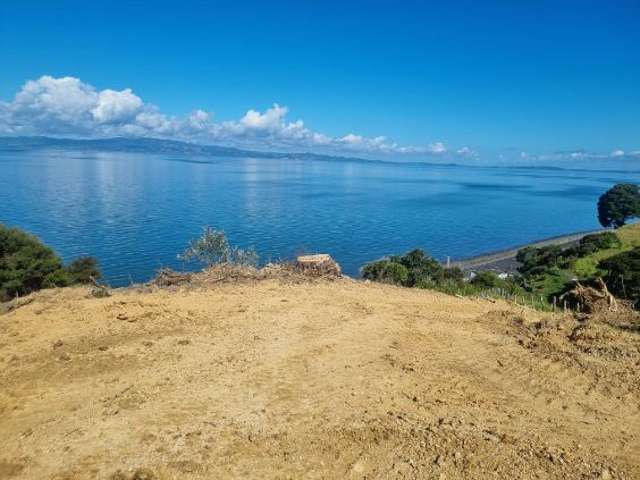 Hauraki Gulf Views