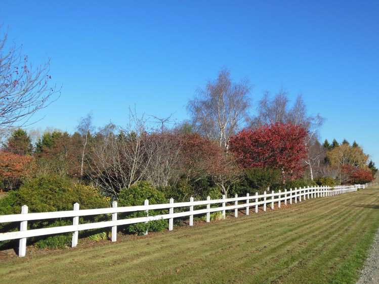 628 Levels Plain Road Kerrytown_23