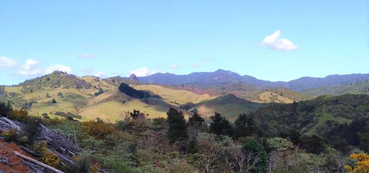 270 Kaimarama Road Kaimarama_8