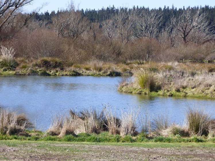 77 Te Hurunui Drive Pegasus_2