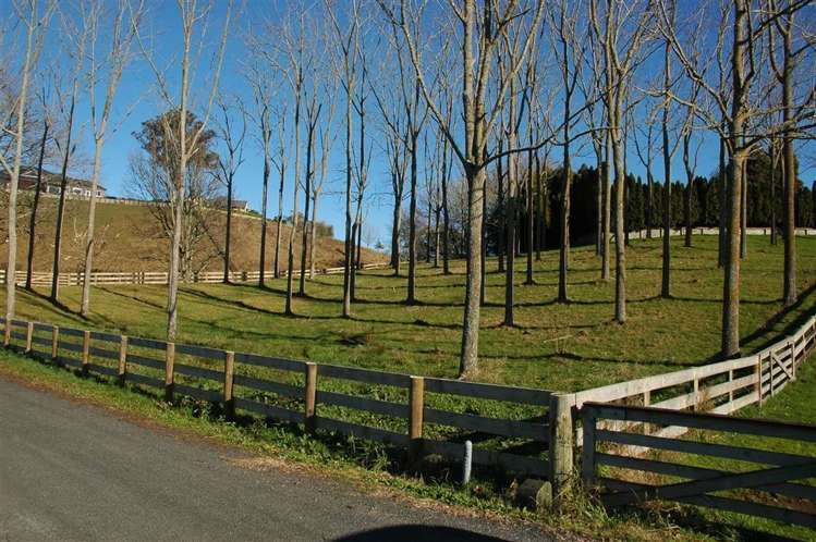 102e Maungakawa Road Cambridge_5