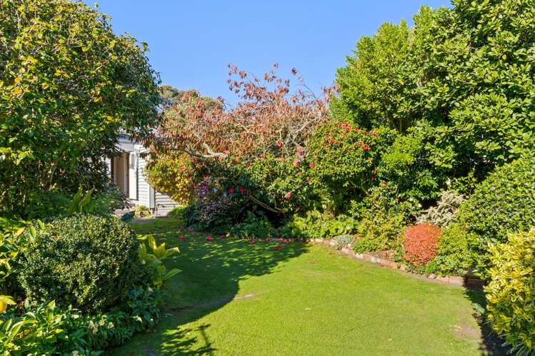 10 Collins Street Te Hapara_23
