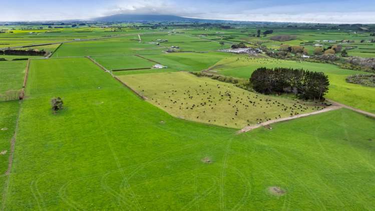 0n Ngarongo Road Normanby_25