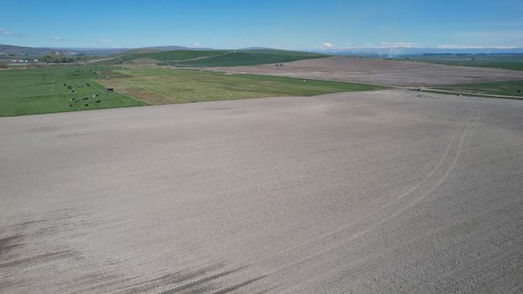 51 Saint Bathans Loop Road Becks_21