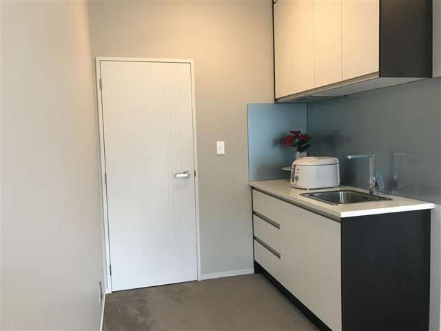 18 Ballyholey Drive Flat Bush_2