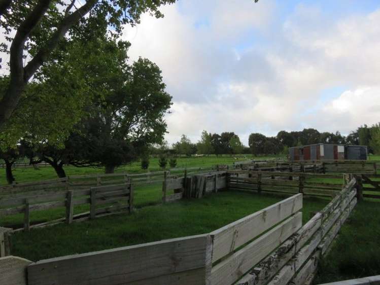 39 Brandon Hall Road Bulls_9