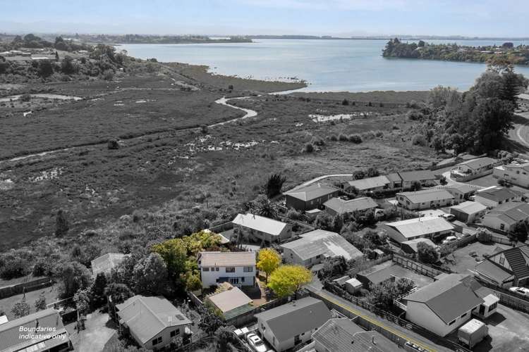 39 Westwood Street Bellevue_26