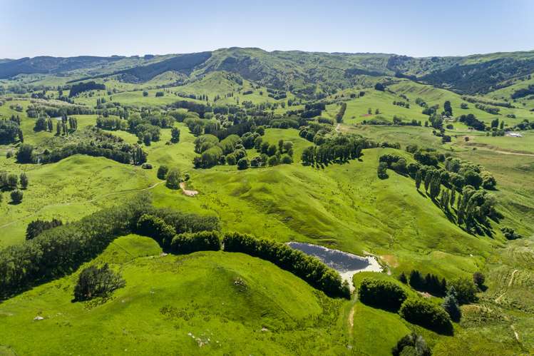 2412 Kahuranaki Road Elsthorpe_18