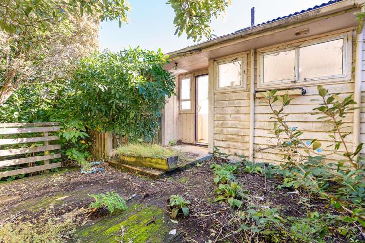 21B Colchester Crescent Newlands_13