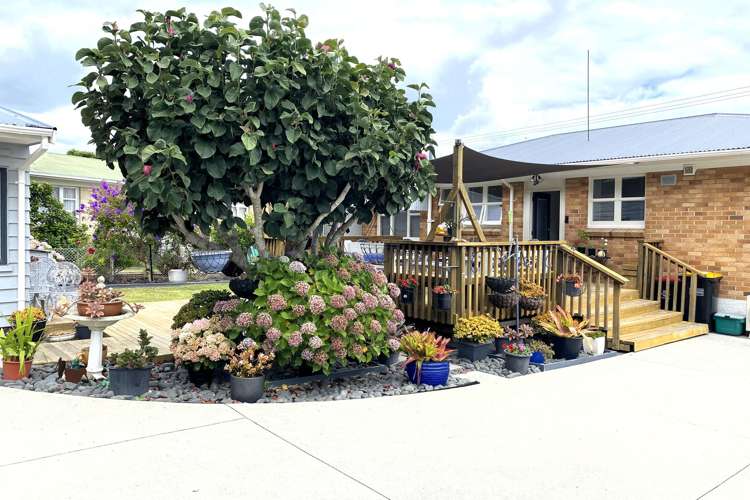 720 Tararu Road Thames_20