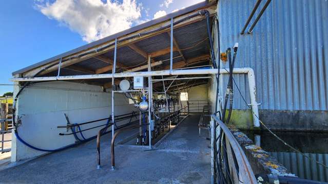 455 Surrey Road Tariki_4