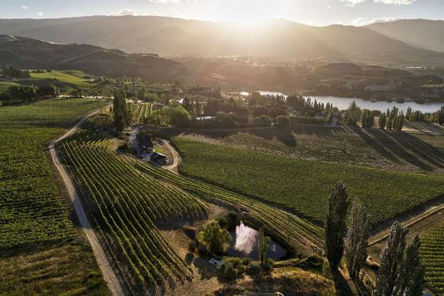 212 Cairnmuir Road Cromwell_4