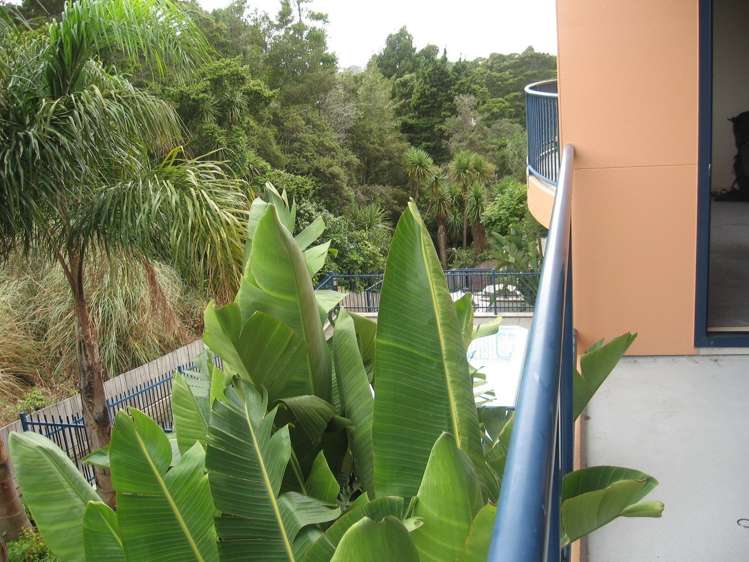 45/241 Hinemoa Street Birkenhead_9