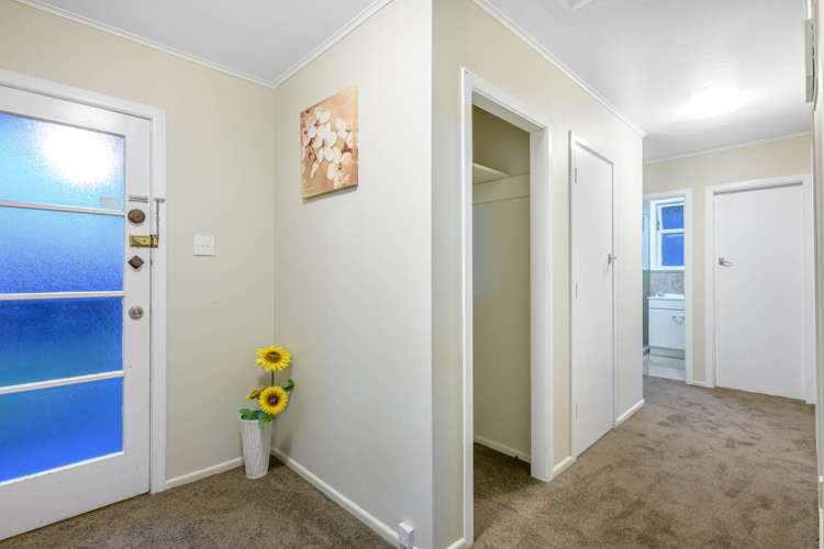 61 Pomaria Road Henderson_11