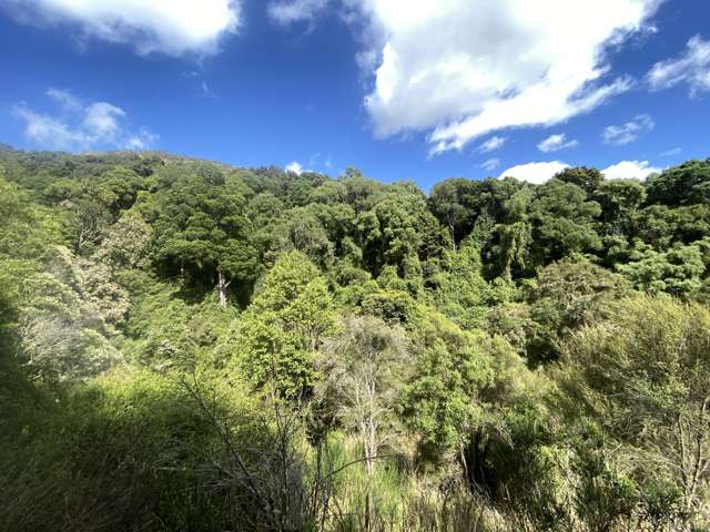 Native Bush and Grazing Combo 24.9 Ha