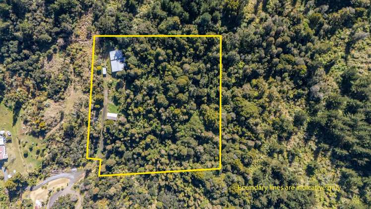 26 Mamari Road Broadwood_5