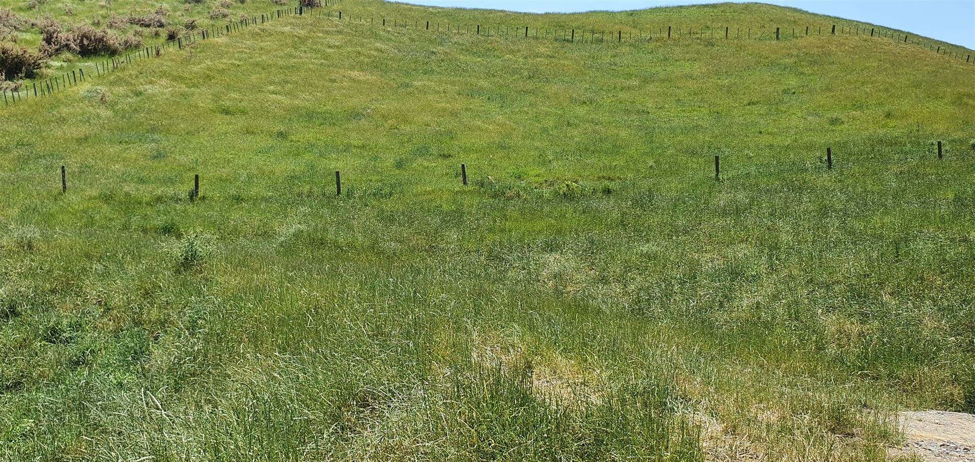 Lot 25/394A Te Puke Quarry Road Te Puke_0