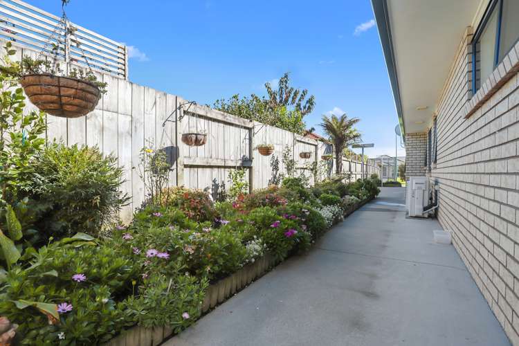 22 Vogel Place Te Aroha_15