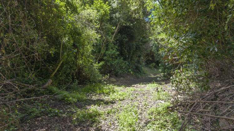 6 Plumwood Lane Cashmere_5