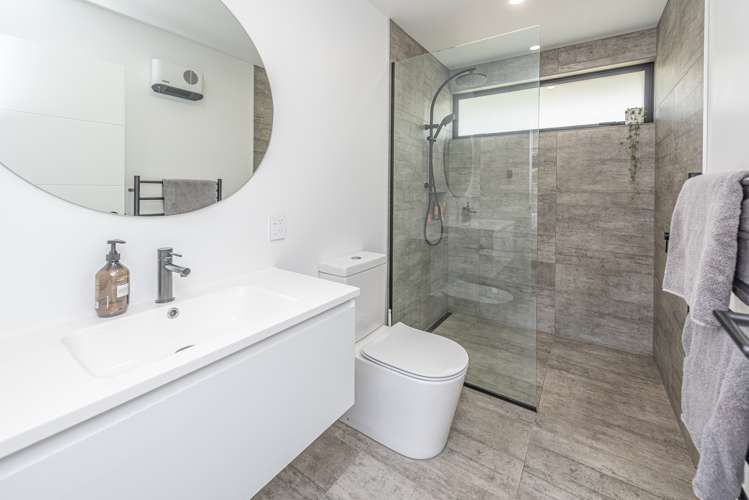 187 Mount View Road Bastia Hill_13