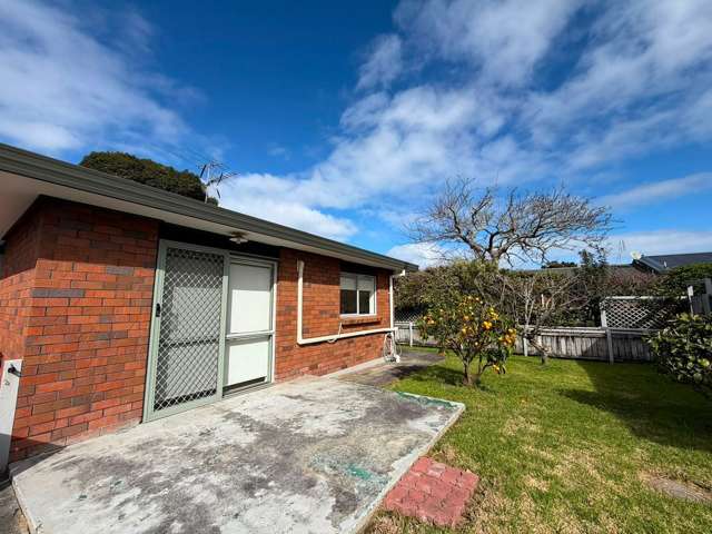37A Brookfield Avenue Onehunga_1