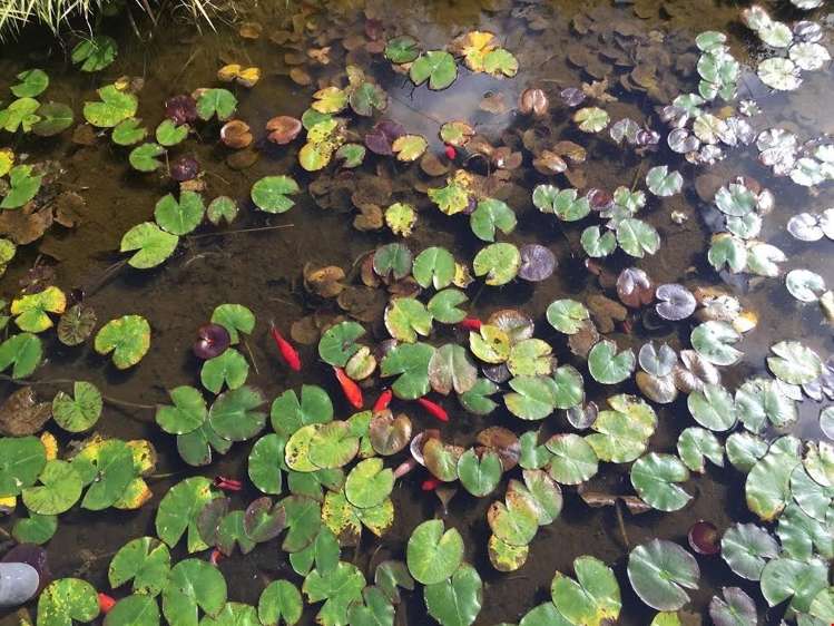 82 Lennon Access Road Stillwater_11