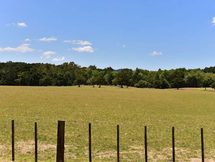 471 Crane Road Kauri_14