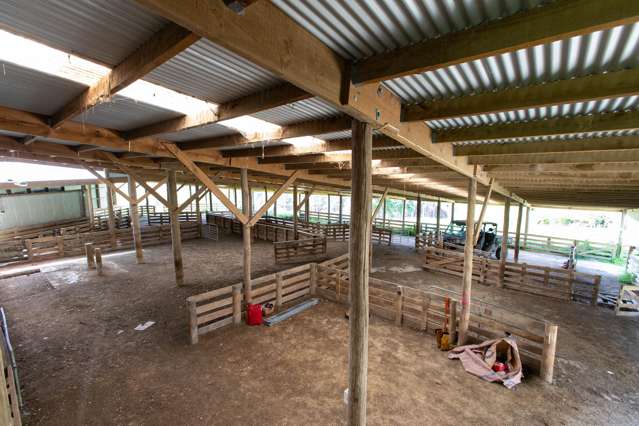 559 Korora Road Pongaroa_1