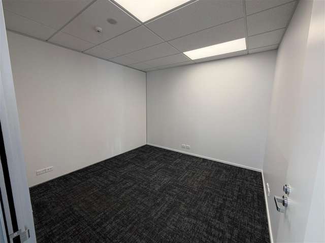 91 Picton Avenue Riccarton_3