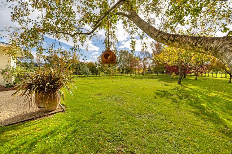 139 Woodlands Road Carterton_6