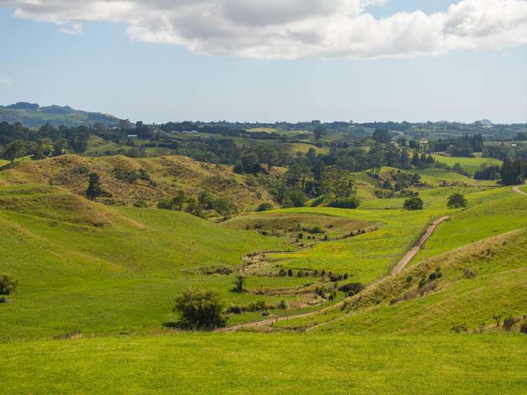 250 Busby Road Katikati_4