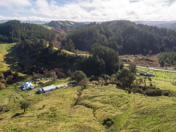 2010 Te Wharau Road Te Wharau_31