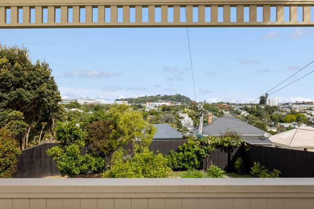 8 Partridge Street Grey Lynn_2