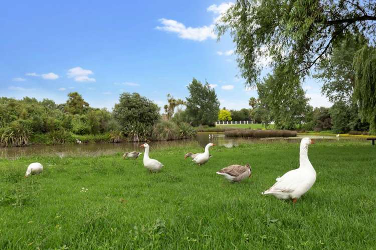 2/3 Seaward Place Wattle Downs_10